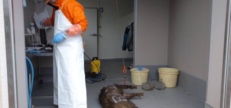  2月15日解体記録